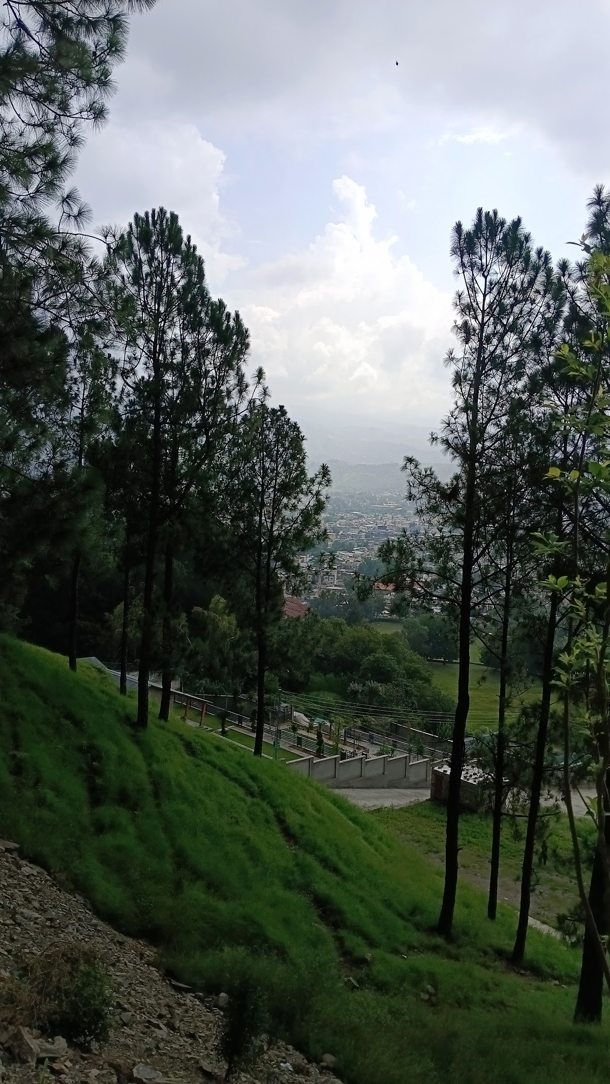 Ranim Family Lodge — photo 9