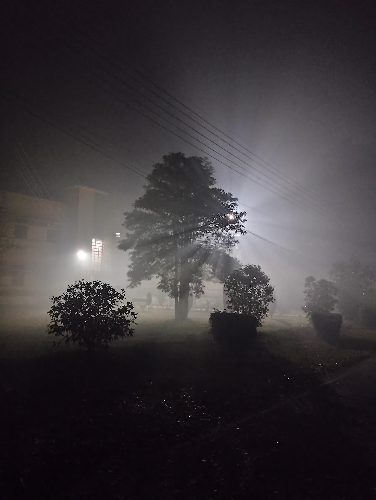 Student Hostel — photo 8