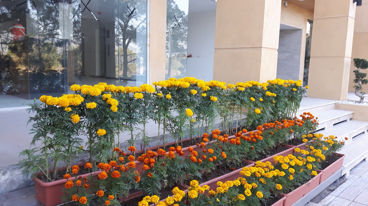 Viridi Hotels — photo 9