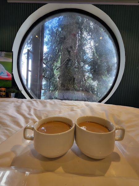 Qubed - Nathia Gali — photo 6