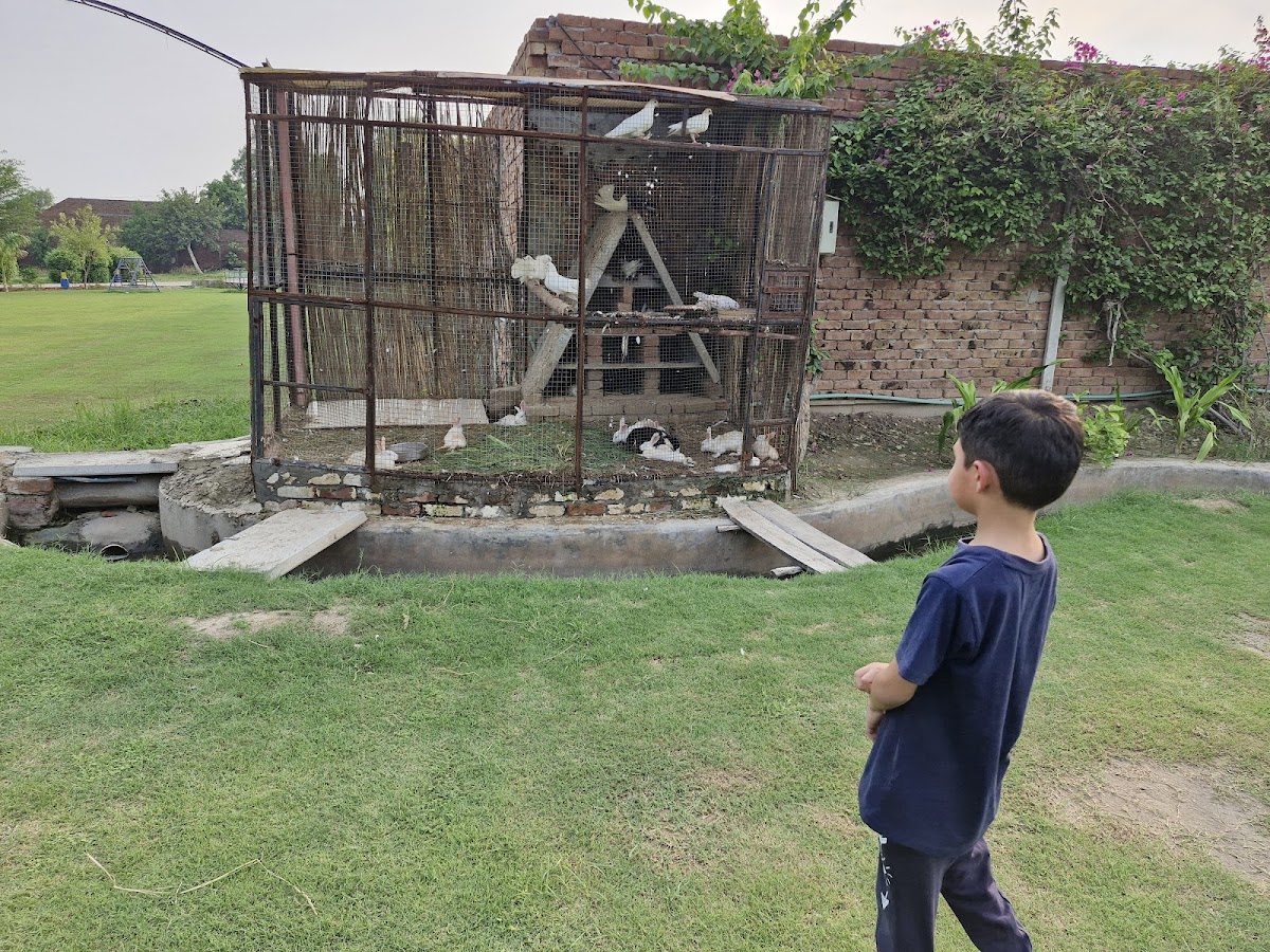 Akkas Farmhouse — photo 10
