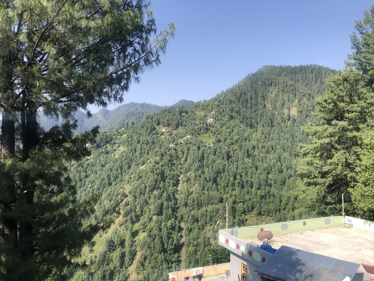 Alrehman guest house thandiani — photo 10