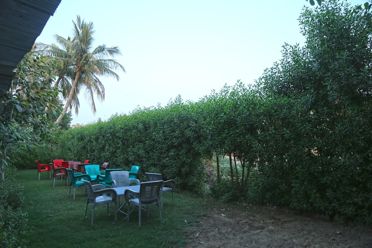 Luxury Inn — photo 10