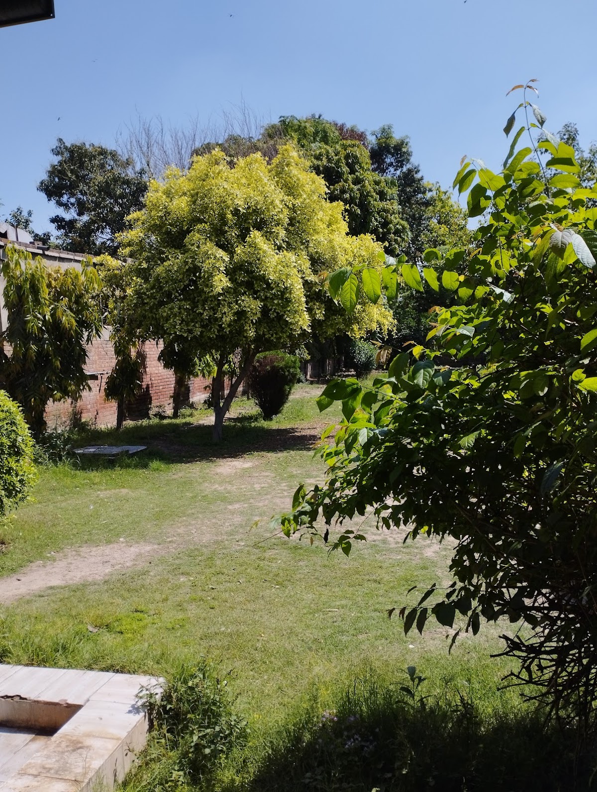 Allama Iqbal Hall, Hostel No 3, University of the Punjab — photo 8
