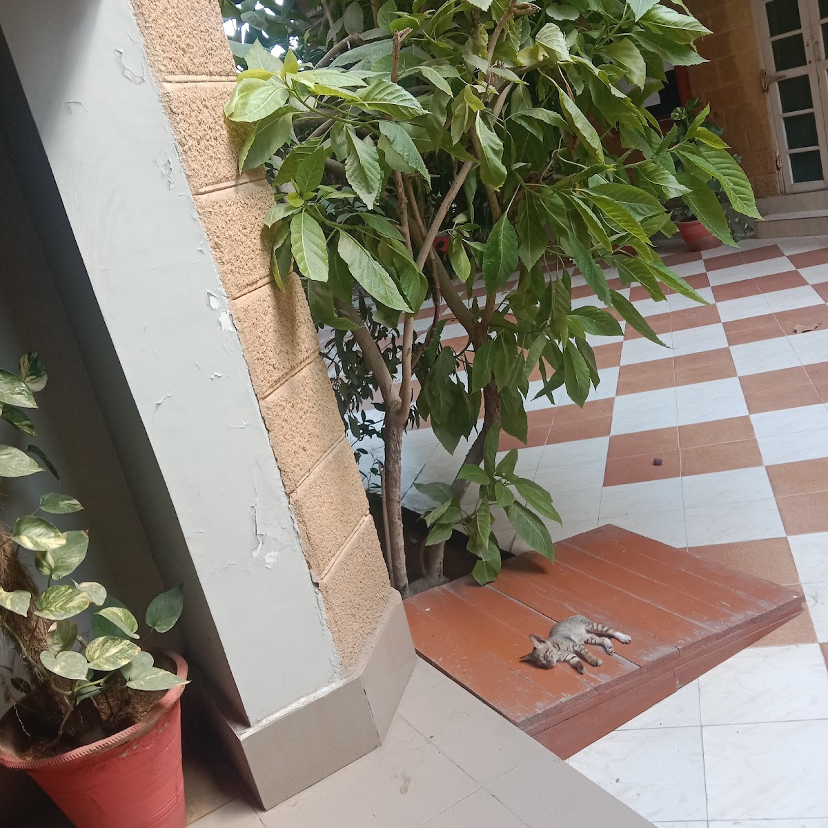 DUHS Girls' Hostel — photo 10