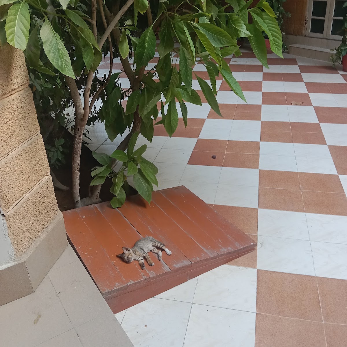 DUHS Girls' Hostel — photo 6