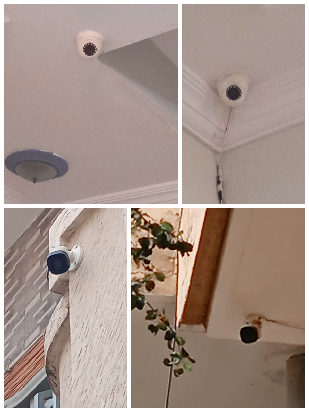 Elysium Girls Hostel — photo 10