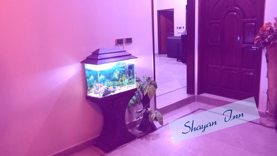 Shayan Inn Guest House — photo 8