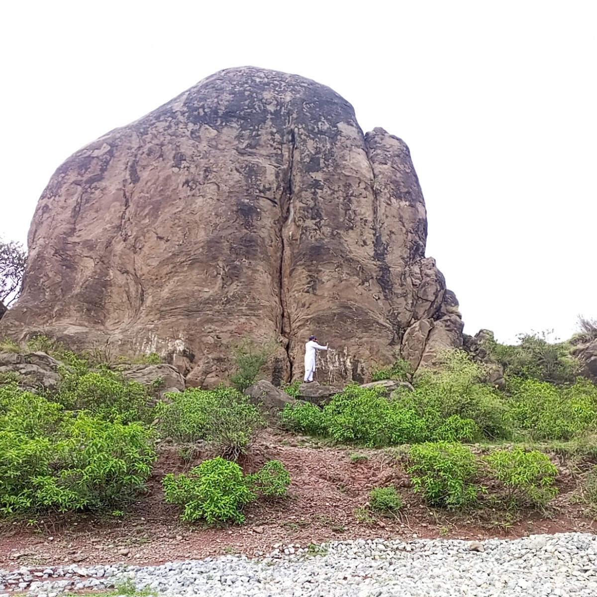 SAIMA Girls House) — photo 9
