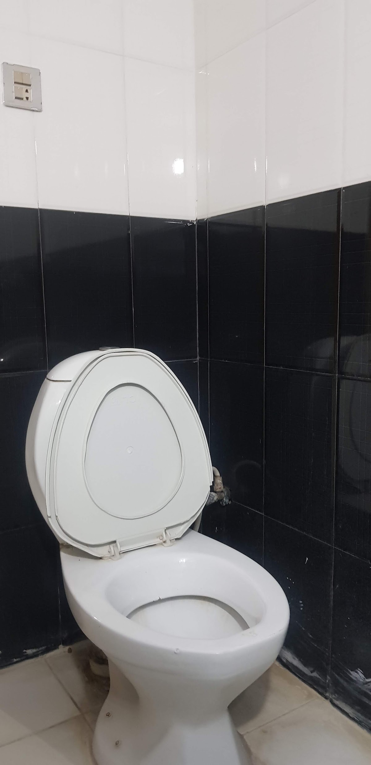 Continental Guest House — photo 6