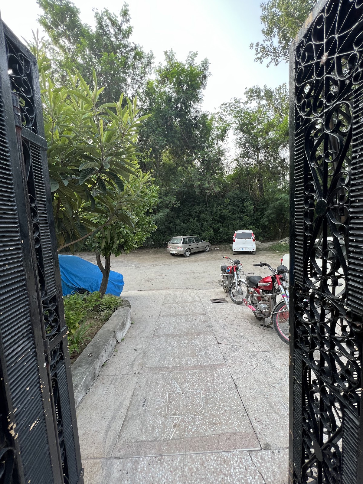 Friends Hostel