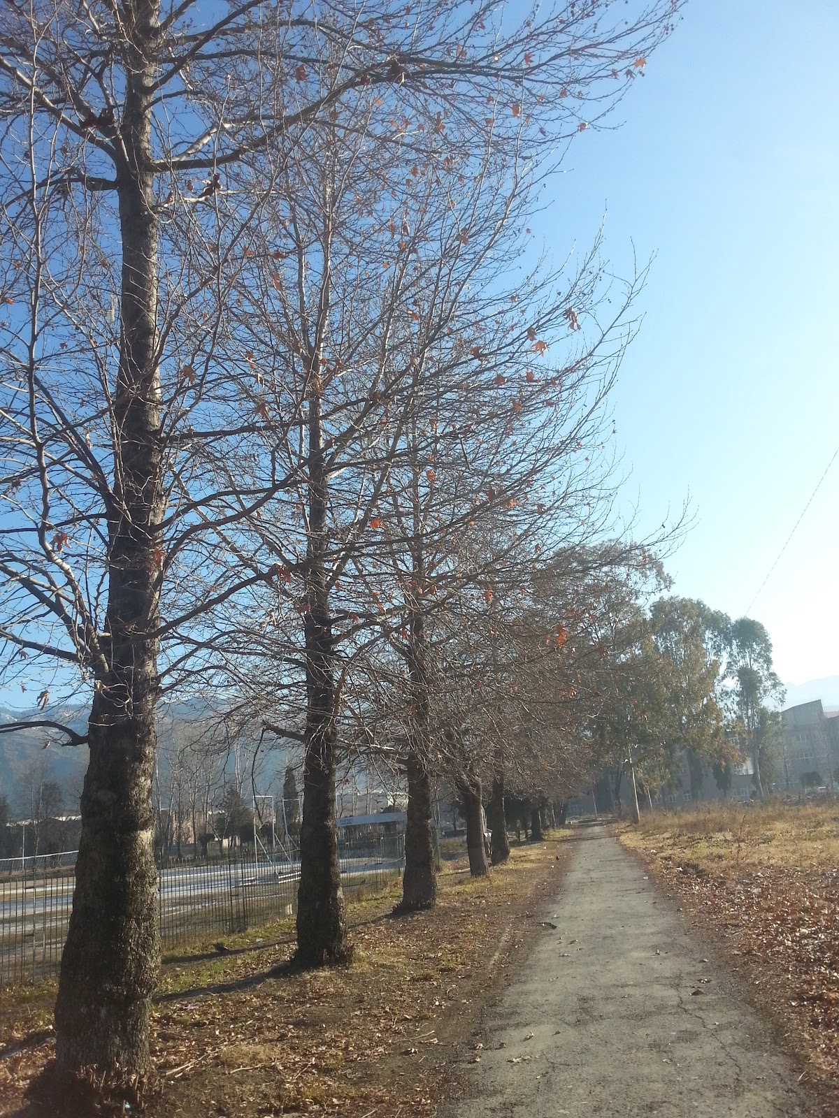 Fatima Jinnah Hostel — photo 10
