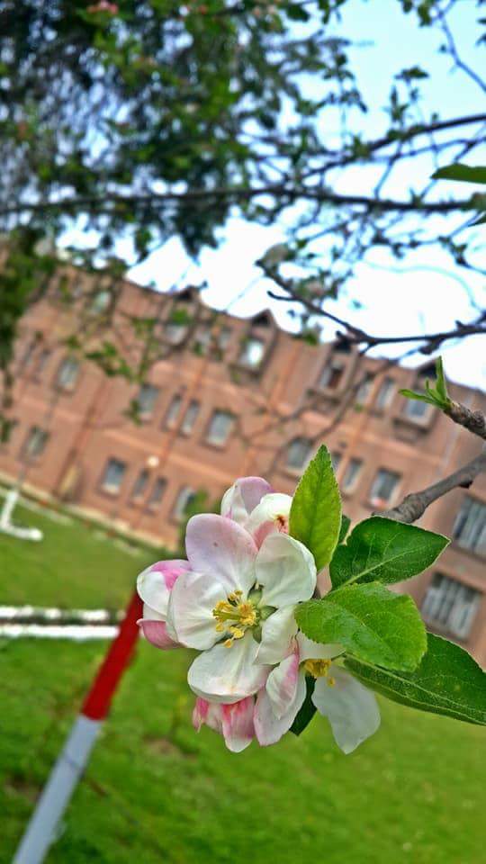 Fatima Jinnah Hostel — photo 6