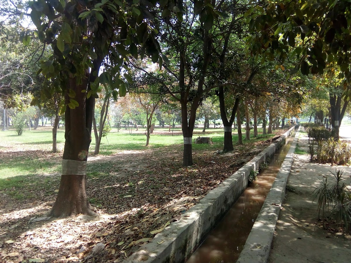 Girls Hostel No. 1 — photo 6