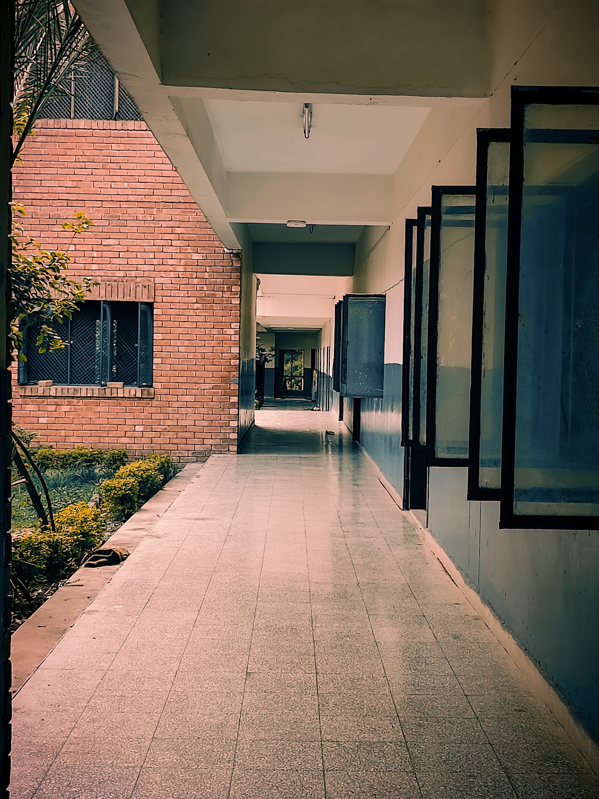 Boys Hostel 6 Quaid-I-Azam University Islamabad Capital — photo 9