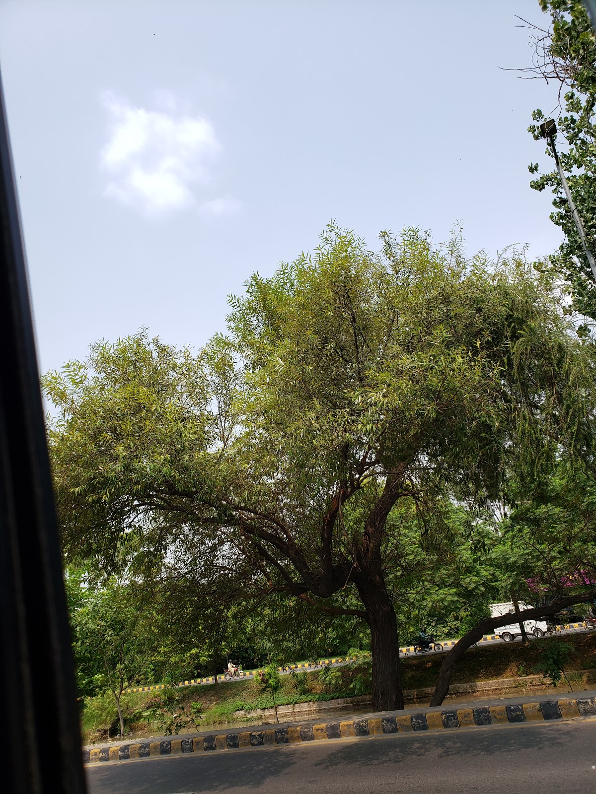 PCSIR Guest House — photo 10