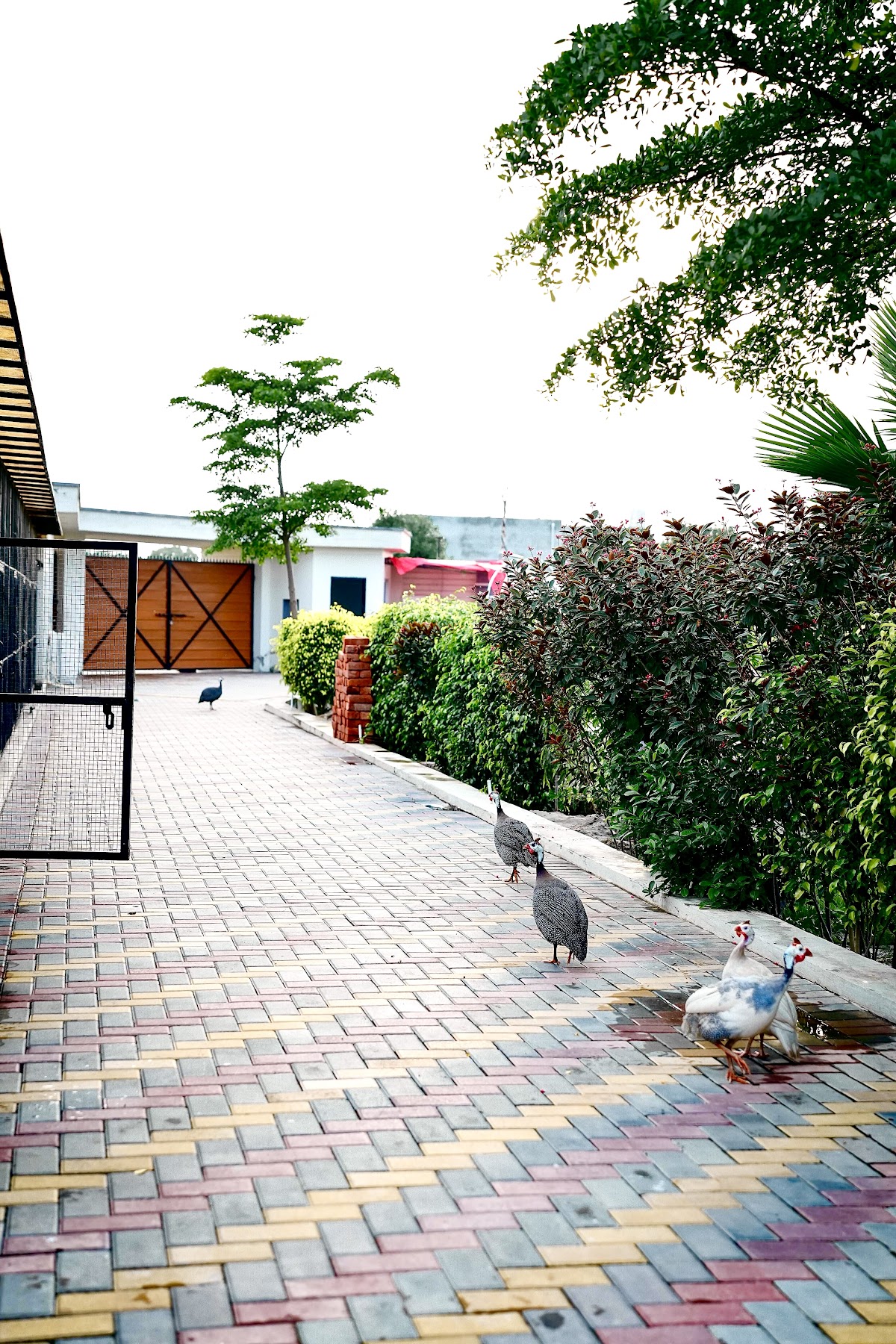 Malik Farmhouse — photo 10