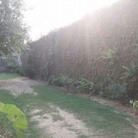 Apna Ghar Girls hostel — photo 8