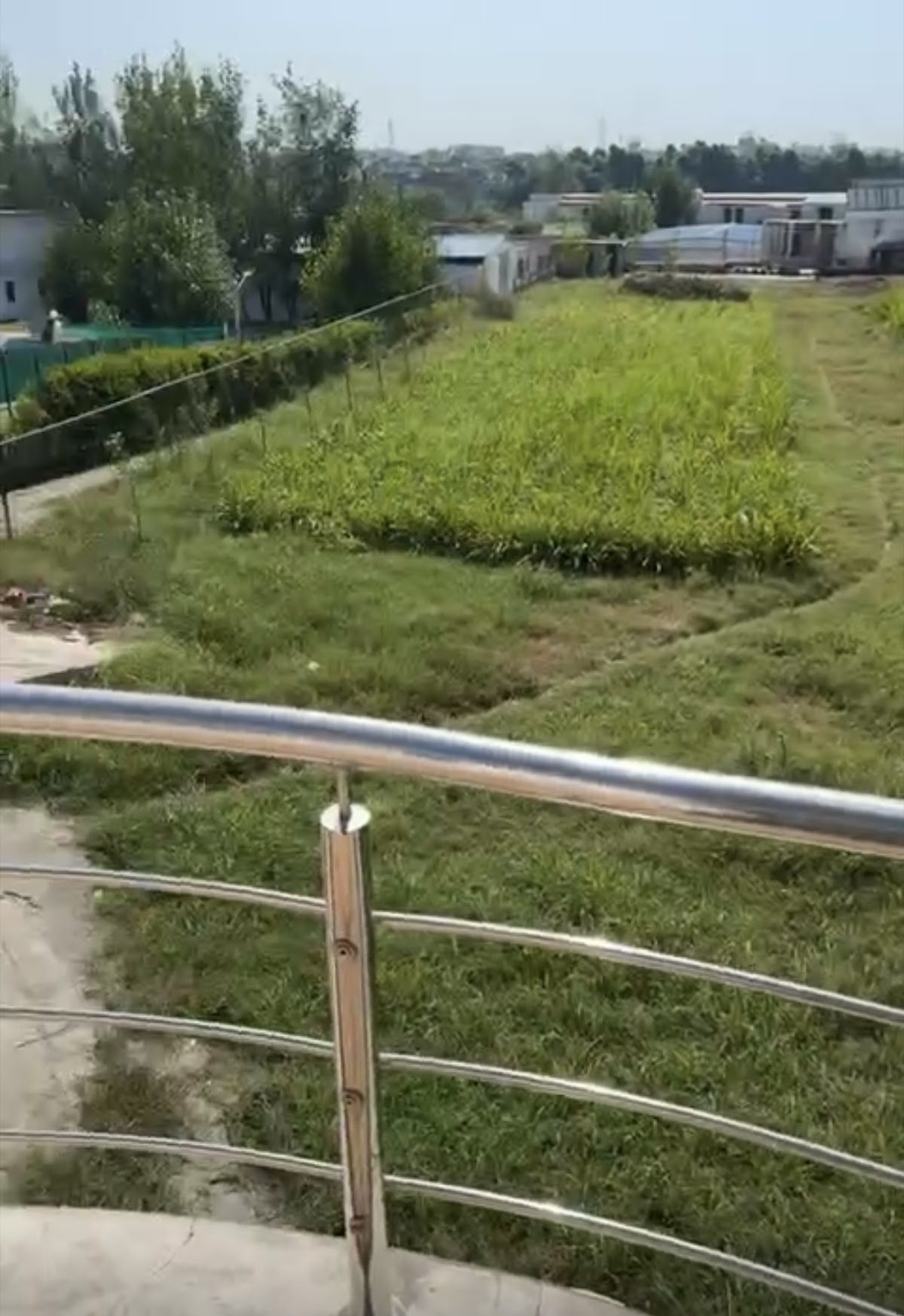 Alvi FarmHouse Islamabad — photo 6
