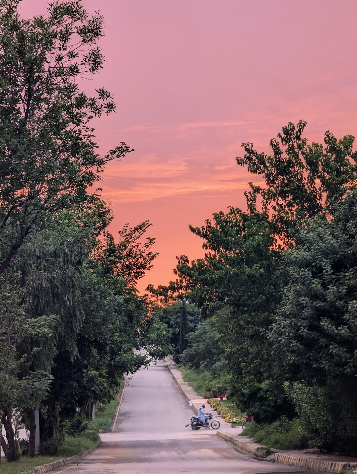 F 10 islamabad — photo 6