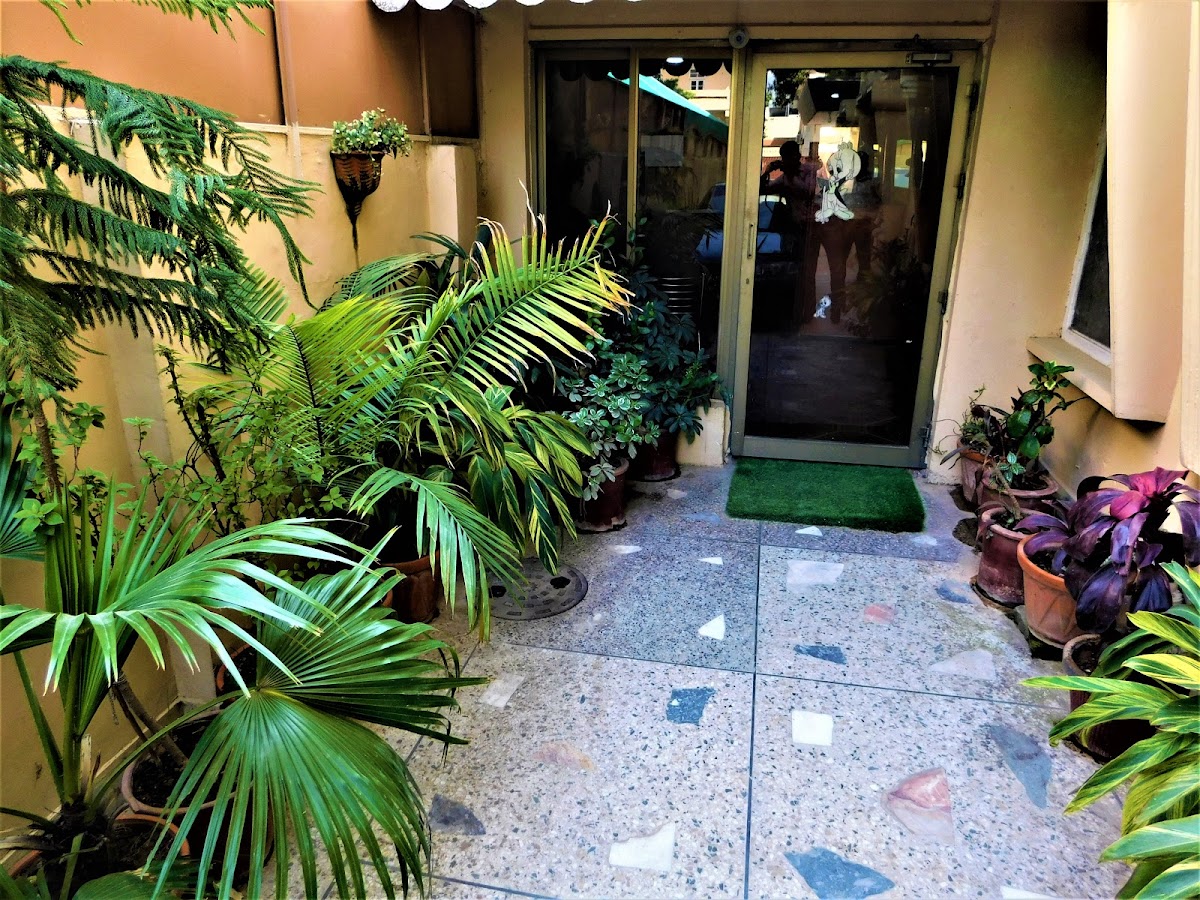 The City Lodge Guest House — photo 8