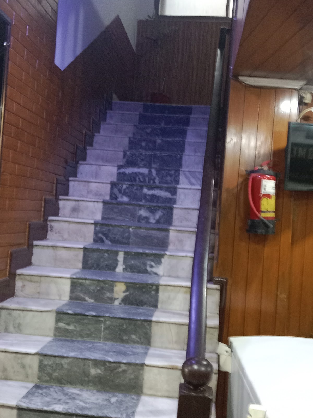 Hotel Khursheed Palace — photo 7