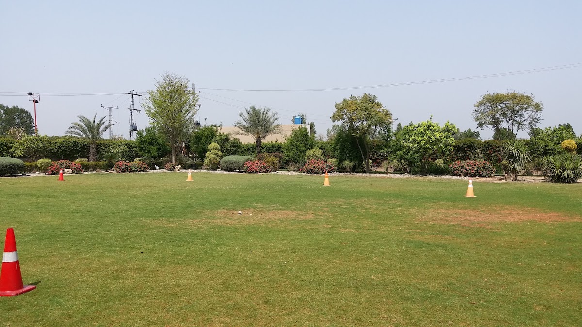 Am Farm — photo 6