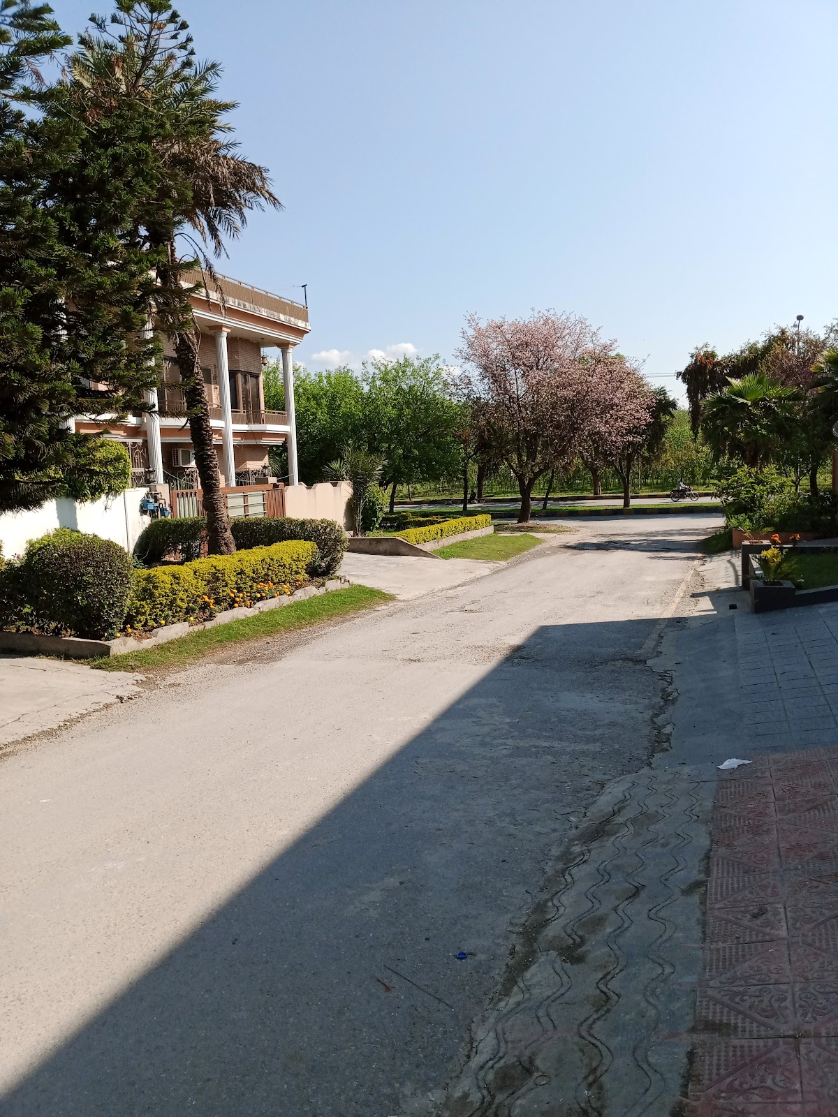 Orion Lodge Guest House