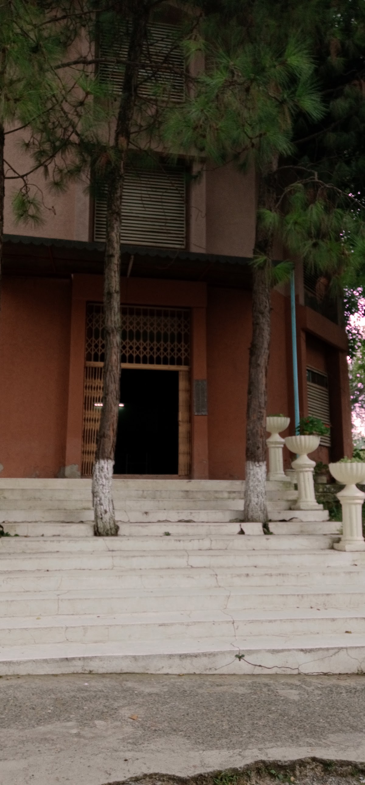SF Boys Hostel — photo 7