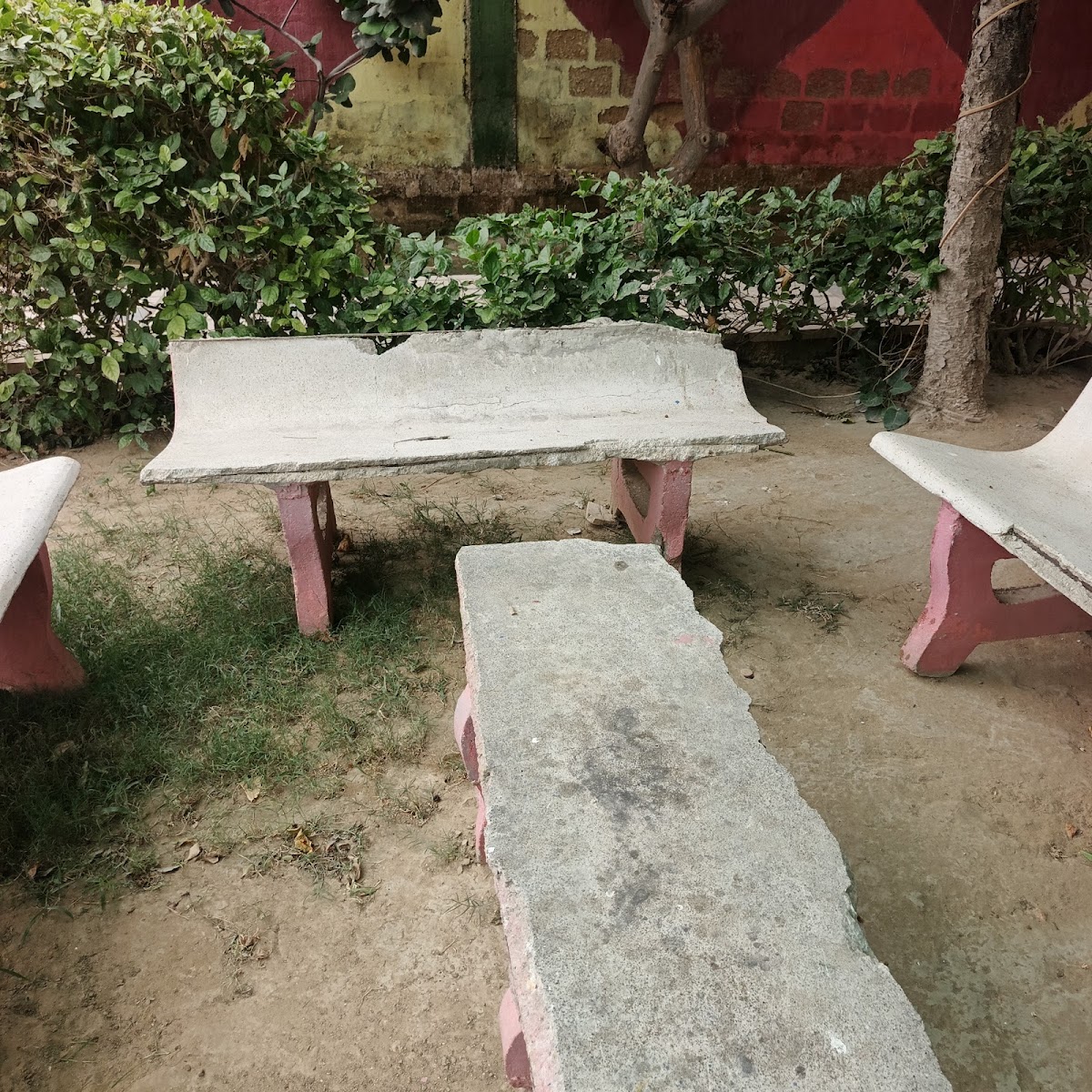 Royal Memon Farm House — photo 6