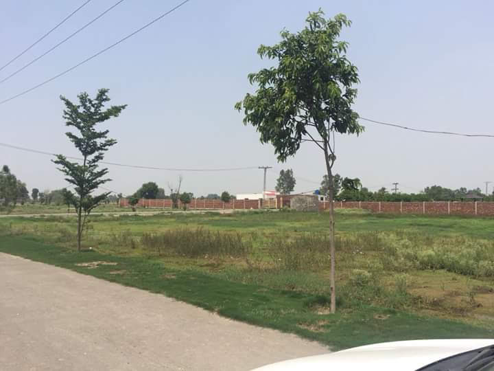Chaudhary Farms Modern Village — photo 8