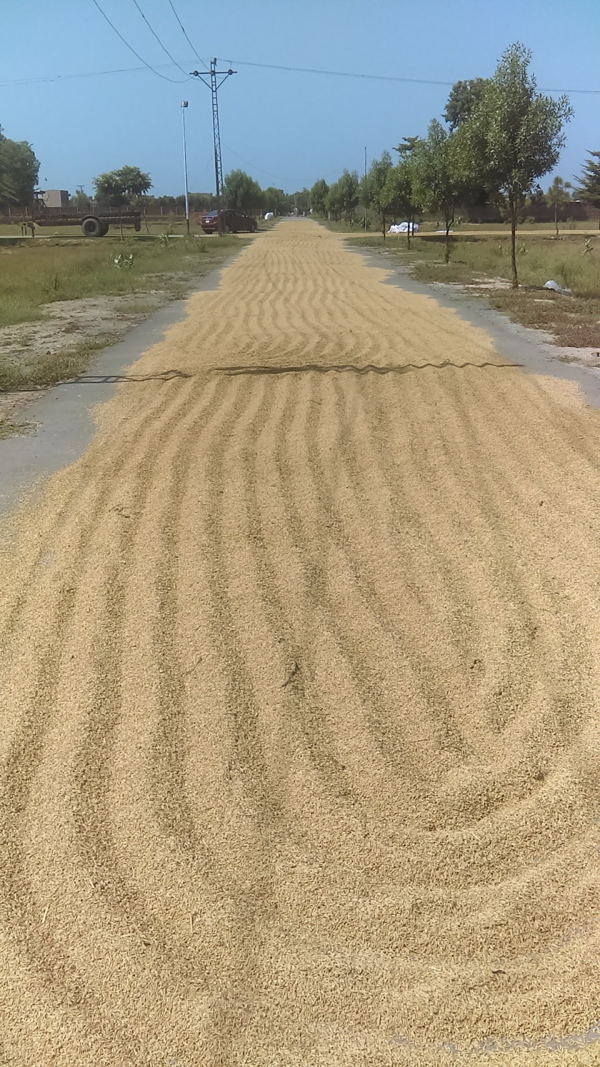 Chaudhary Farms Modern Village — photo 10