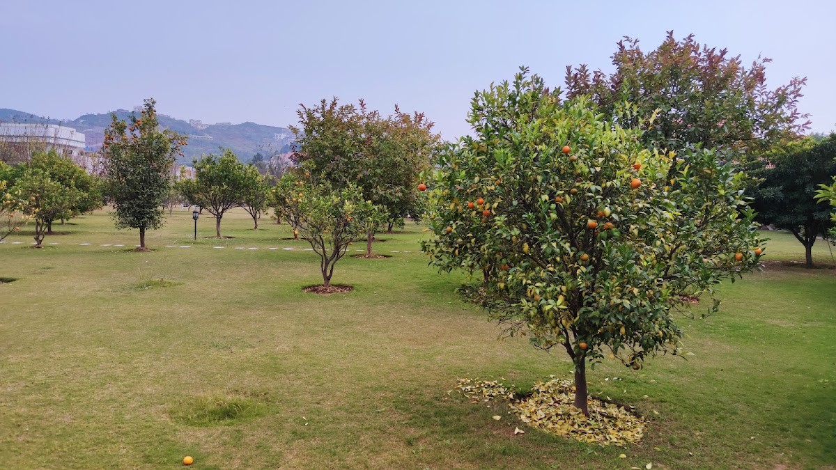 Luxury Villa in Banigala Farmhouse — photo 10