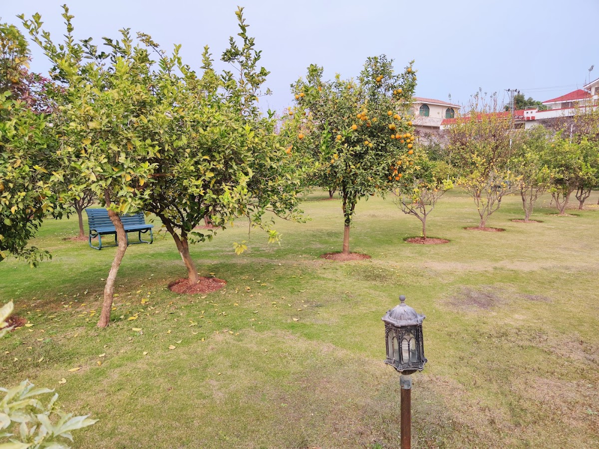 Luxury Villa in Banigala Farmhouse — photo 9