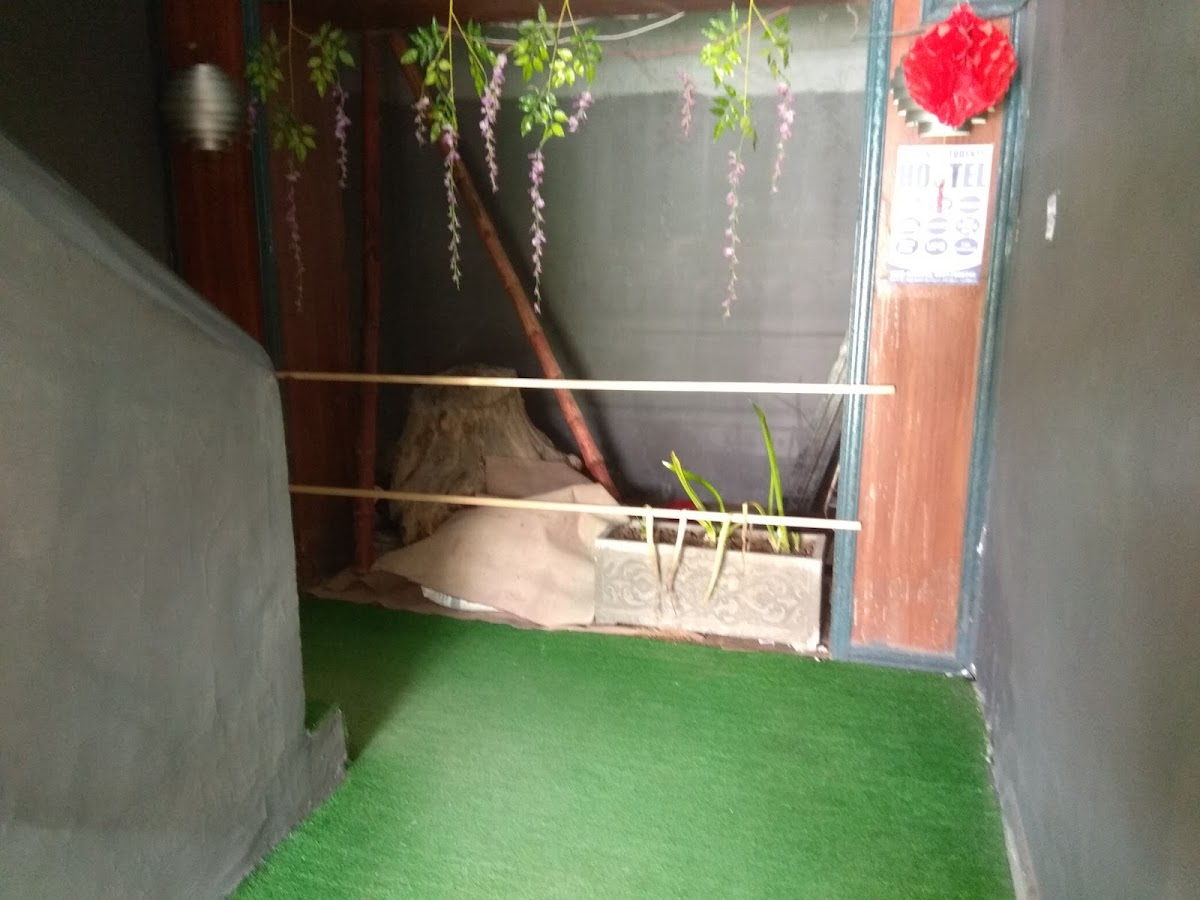 Hygienic Students Hostel — photo 8