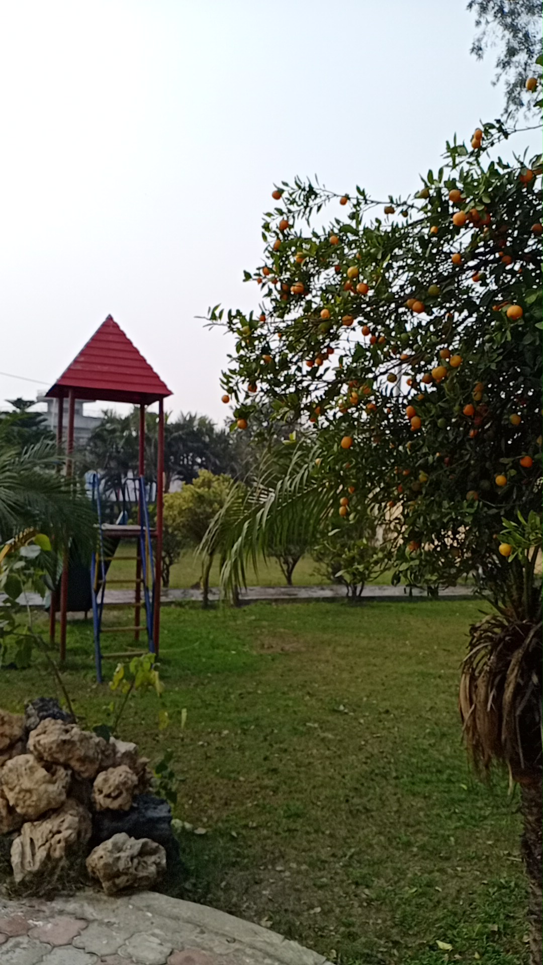 Malik Brothers farm house — photo 7