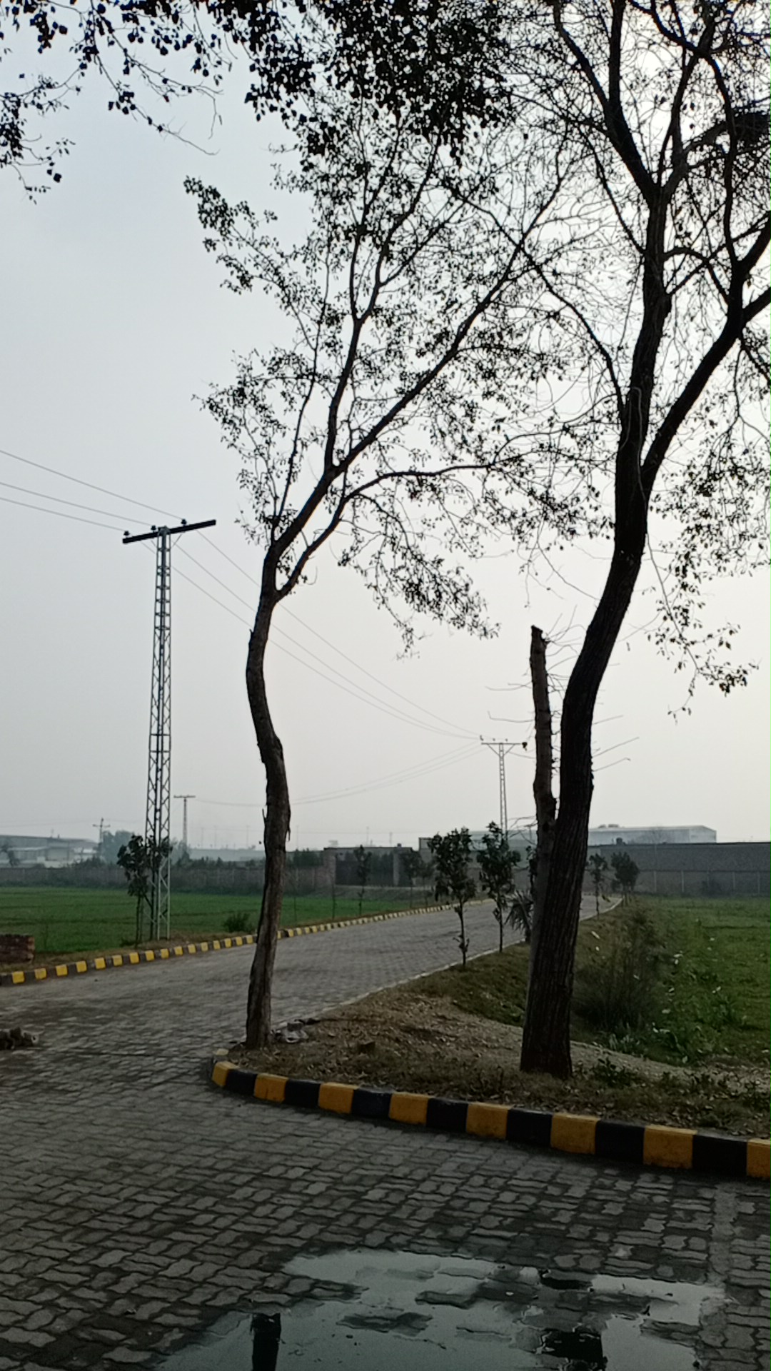 Malik Brothers farm house — photo 10