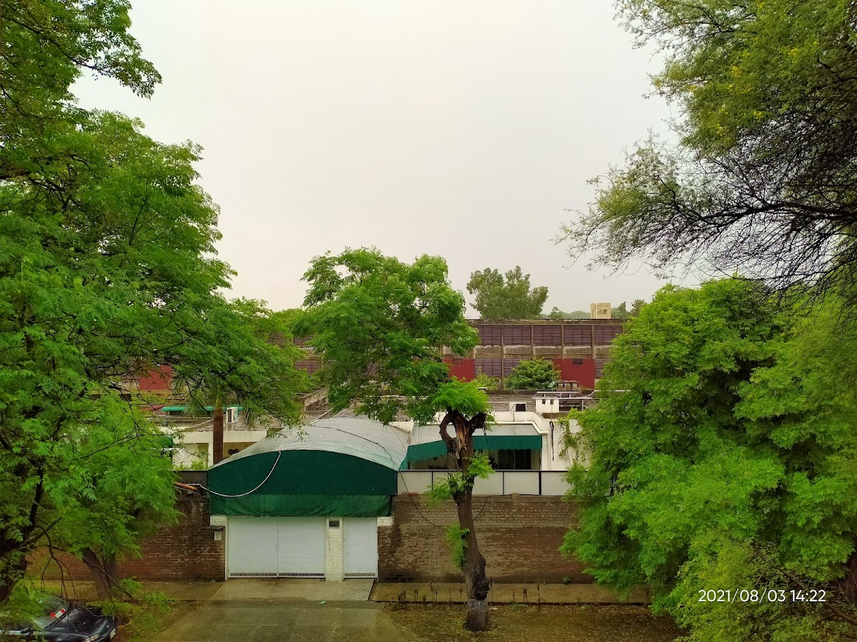 Boys Hostel No 15 — photo 7