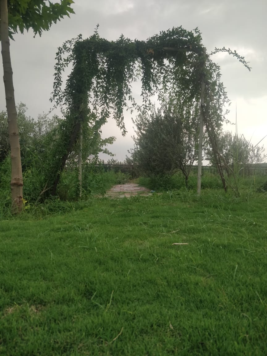 Green Country Farm — photo 10