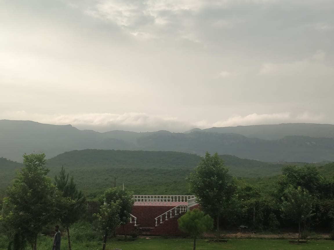 Green Country Farm — photo 7