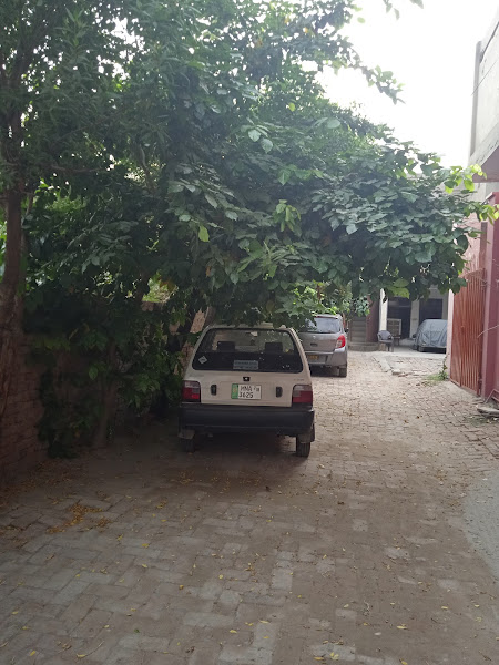 White House Hostel — photo 7