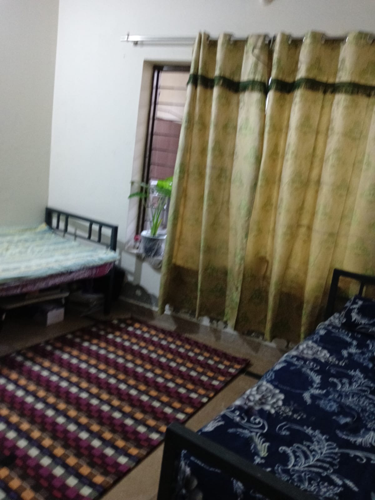 Green Girls Hostel — photo 6