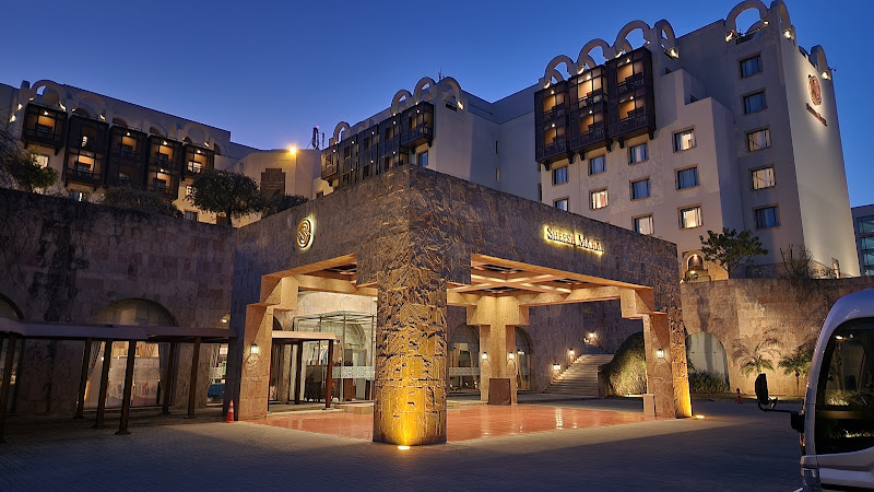 Serena Hotel — photo 8