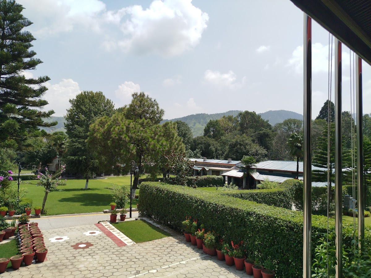 Piffers Lodges — photo 7