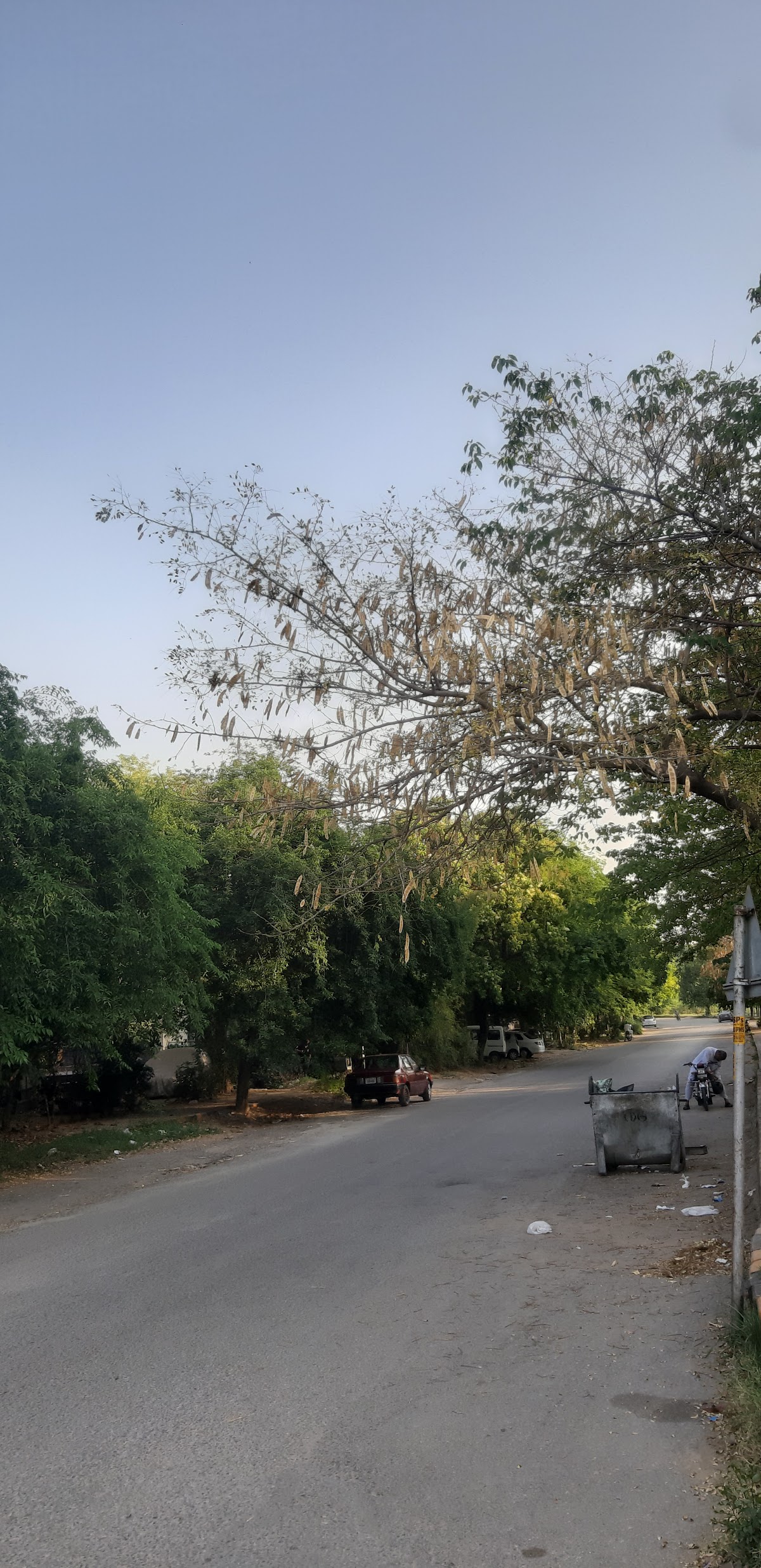 The Royal Boys Hostel — photo 8