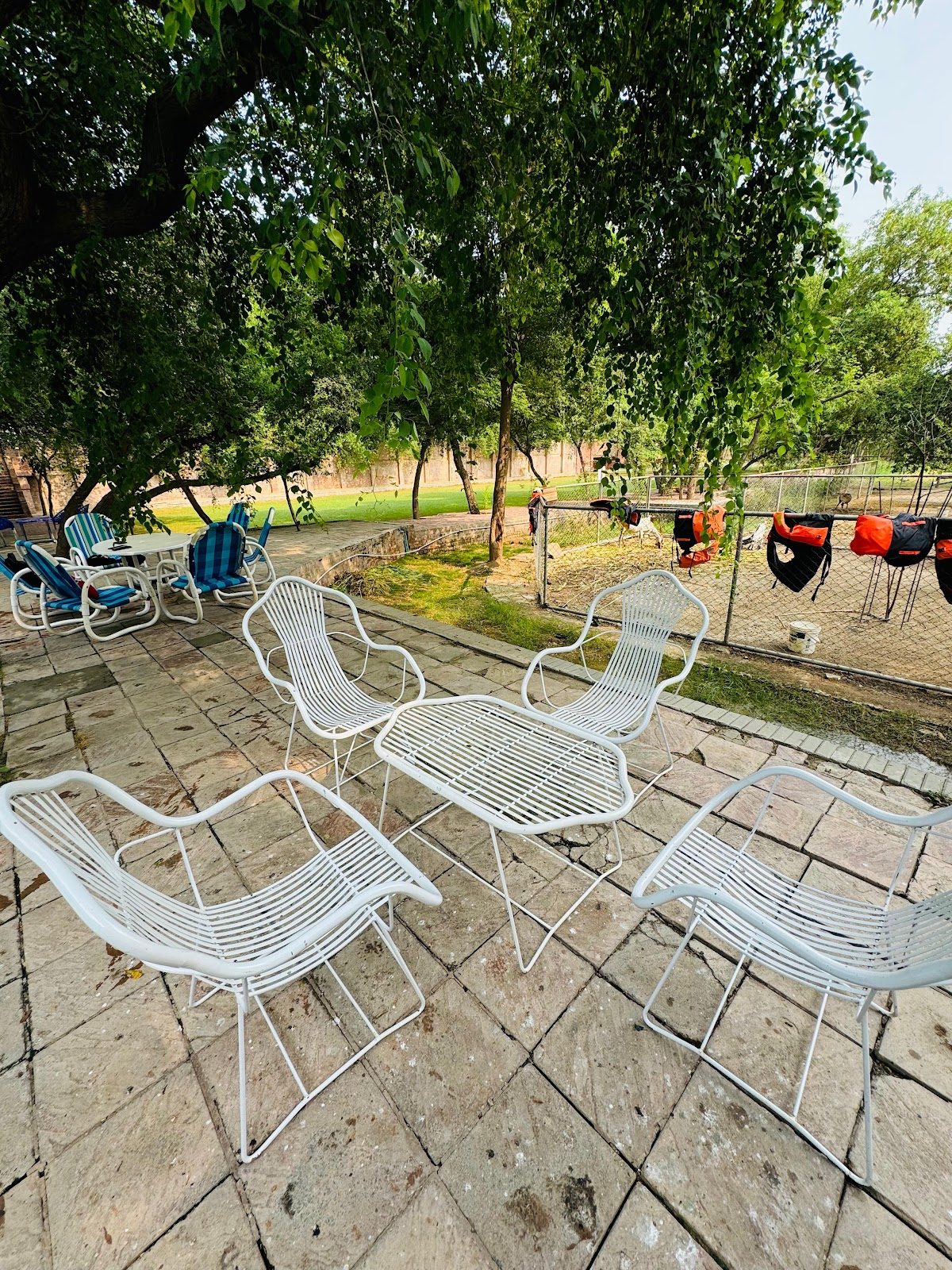 Shamim Farmhouse — photo 10