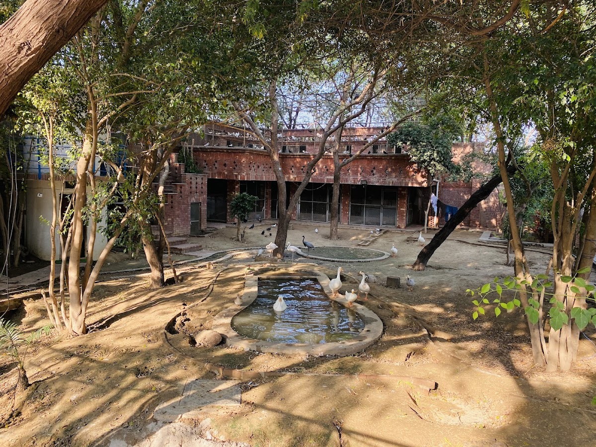 Shamim Farmhouse — photo 8