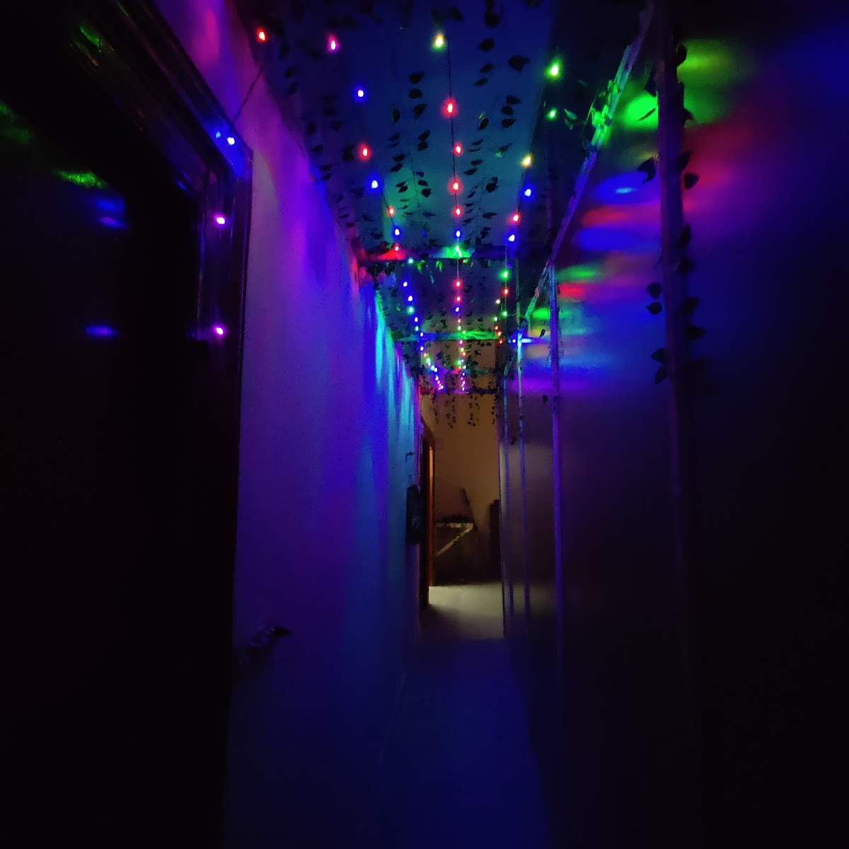 Blissful girls hostel — photo 10