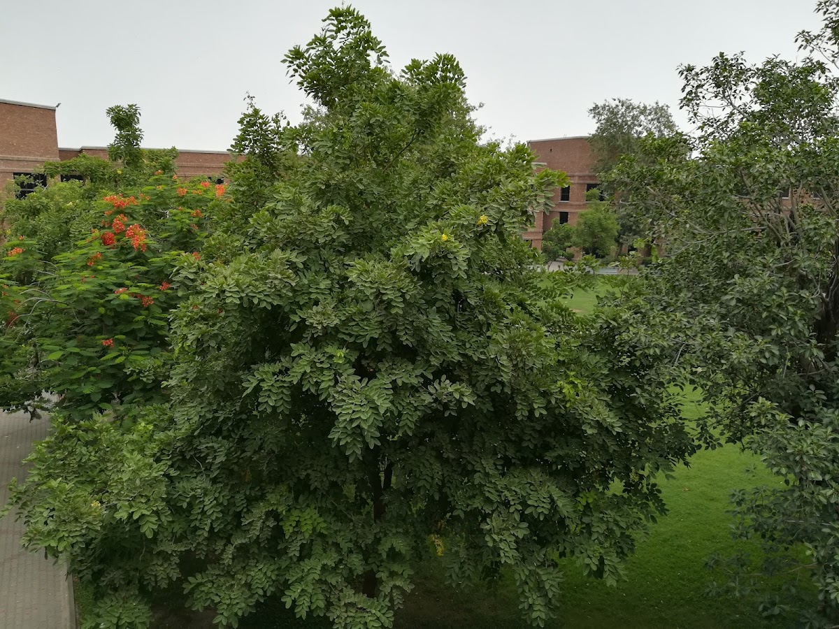 M-1 Suleman Dawood Boys Hostel LUMS — photo 9