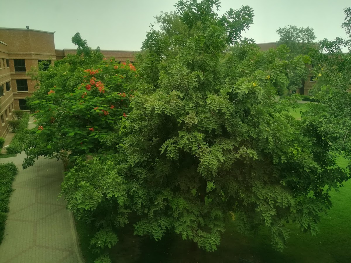 M-1 Suleman Dawood Boys Hostel LUMS — photo 8